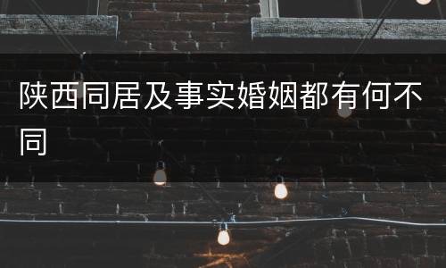 陕西同居及事实婚姻都有何不同