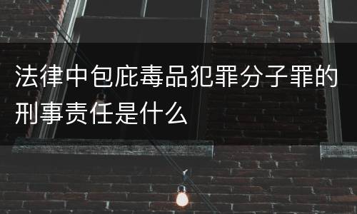 法律中包庇毒品犯罪分子罪的刑事责任是什么
