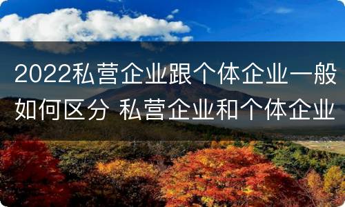 2022私营企业跟个体企业一般如何区分 私营企业和个体企业的区别