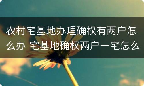 农村宅基地办理确权有两户怎么办 宅基地确权两户一宅怎么办