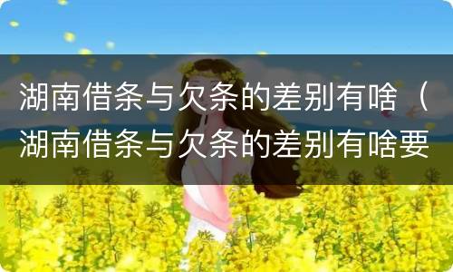湖南借条与欠条的差别有啥（湖南借条与欠条的差别有啥要求）