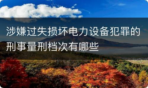 涉嫌过失损坏电力设备犯罪的刑事量刑档次有哪些