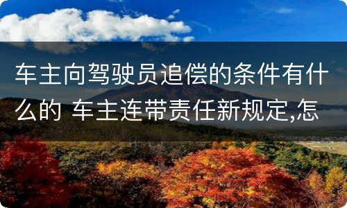 车主向驾驶员追偿的条件有什么的 车主连带责任新规定,怎么向驾驶员追偿