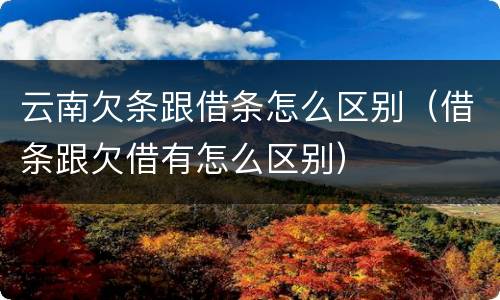 云南欠条跟借条怎么区别（借条跟欠借有怎么区别）