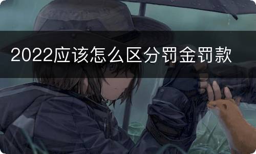 2022应该怎么区分罚金罚款