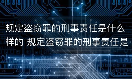 规定盗窃罪的刑事责任是什么样的 规定盗窃罪的刑事责任是什么样的案件