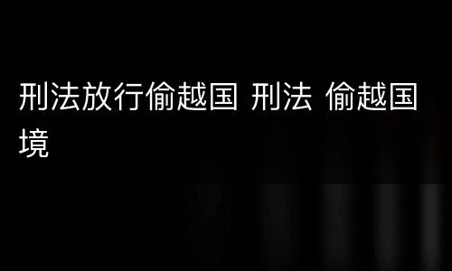 刑法放行偷越国 刑法 偷越国境