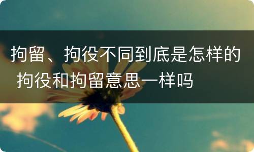 拘留、拘役不同到底是怎样的 拘役和拘留意思一样吗