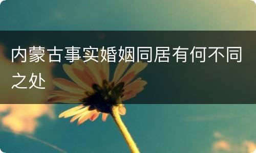 内蒙古事实婚姻同居有何不同之处
