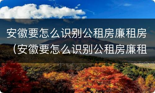 安徽要怎么识别公租房廉租房（安徽要怎么识别公租房廉租房呢）