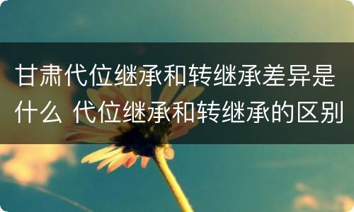 甘肃代位继承和转继承差异是什么 代位继承和转继承的区别例子