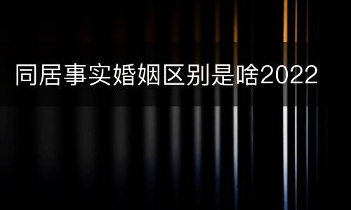 同居事实婚姻区别是啥2022