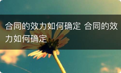 合同的效力如何确定 合同的效力如何确定