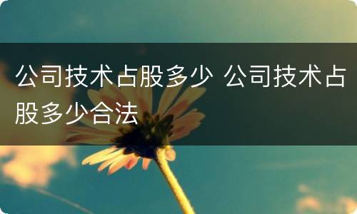 公司技术占股多少 公司技术占股多少合法