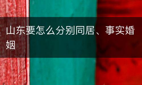 山东要怎么分别同居、事实婚姻