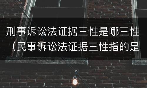 刑事诉讼法证据三性是哪三性（民事诉讼法证据三性指的是什么）