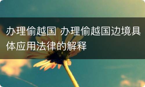 办理偷越国 办理偷越国边境具体应用法律的解释