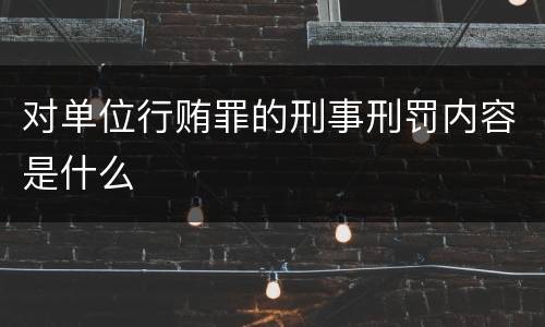 对单位行贿罪的刑事刑罚内容是什么