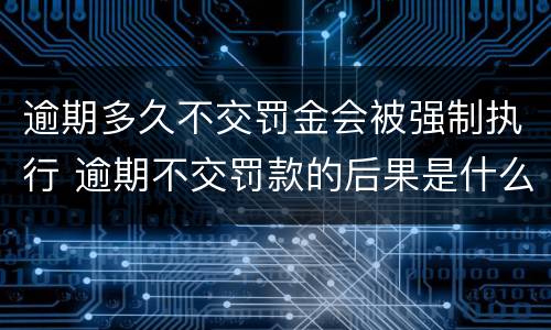 逾期多久不交罚金会被强制执行 逾期不交罚款的后果是什么