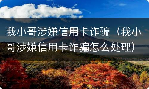 我小哥涉嫌信用卡诈骗（我小哥涉嫌信用卡诈骗怎么处理）
