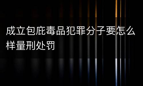 成立包庇毒品犯罪分子要怎么样量刑处罚