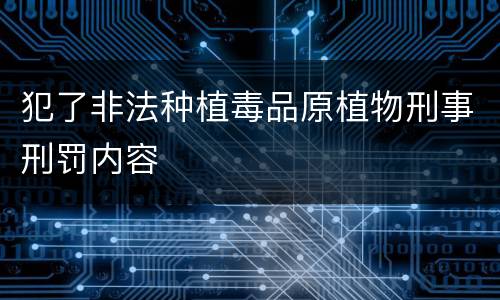 犯了非法种植毒品原植物刑事刑罚内容