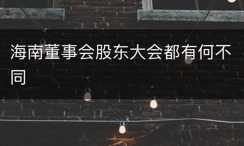海南董事会股东大会都有何不同