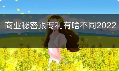 商业秘密跟专利有啥不同2022