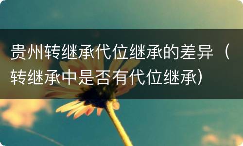 贵州转继承代位继承的差异（转继承中是否有代位继承）
