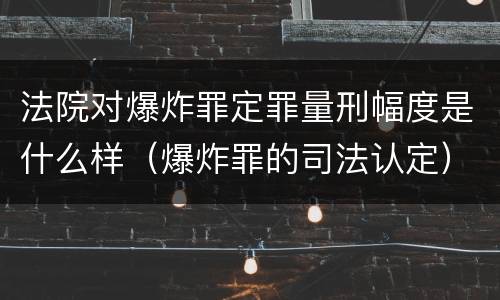 法院对爆炸罪定罪量刑幅度是什么样（爆炸罪的司法认定）
