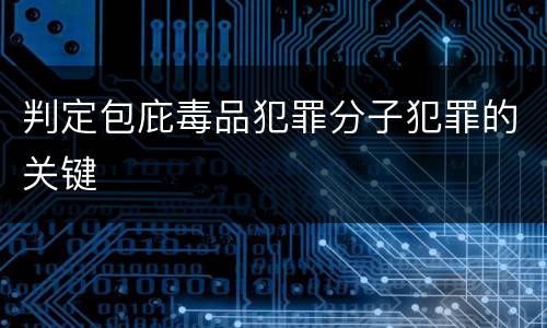 判定包庇毒品犯罪分子犯罪的关键
