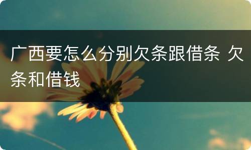 广西要怎么分别欠条跟借条 欠条和借钱