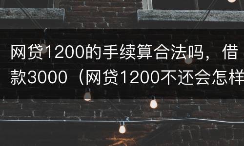 网贷1200的手续算合法吗，借款3000（网贷1200不还会怎样）