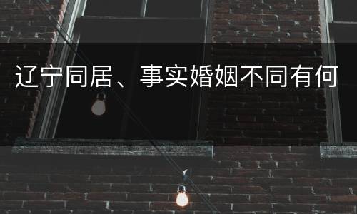 辽宁同居、事实婚姻不同有何