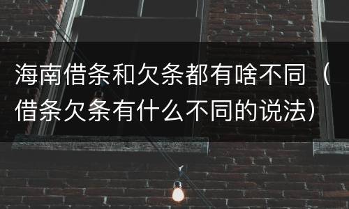 海南借条和欠条都有啥不同（借条欠条有什么不同的说法）