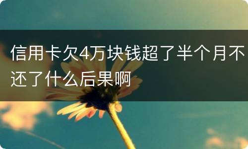 信用卡欠4万块钱超了半个月不还了什么后果啊