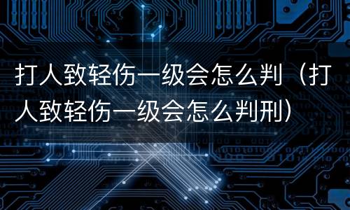 打人致轻伤一级会怎么判（打人致轻伤一级会怎么判刑）