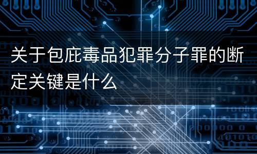 关于包庇毒品犯罪分子罪的断定关键是什么