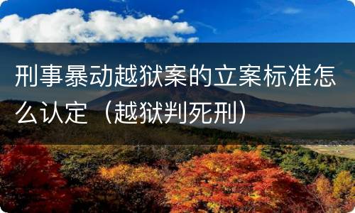 刑事暴动越狱案的立案标准怎么认定（越狱判死刑）