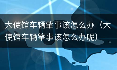 大使馆车辆肇事该怎么办（大使馆车辆肇事该怎么办呢）