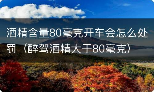 酒精含量80毫克开车会怎么处罚（醉驾酒精大于80毫克）