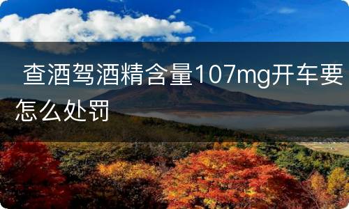  查酒驾酒精含量107mg开车要怎么处罚