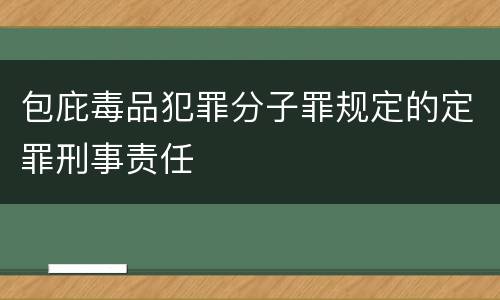 包庇毒品犯罪分子罪规定的定罪刑事责任