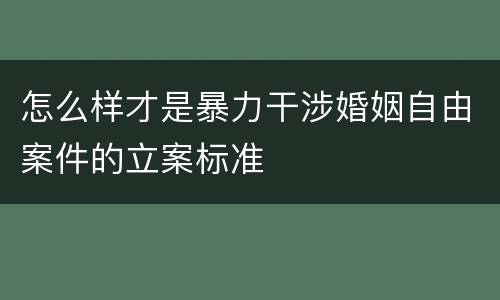 怎么样才是暴力干涉婚姻自由案件的立案标准
