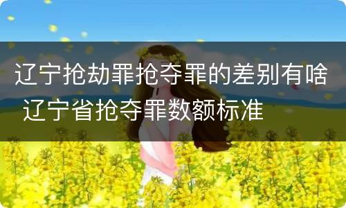 辽宁抢劫罪抢夺罪的差别有啥 辽宁省抢夺罪数额标准