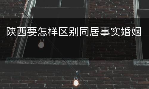 陕西要怎样区别同居事实婚姻