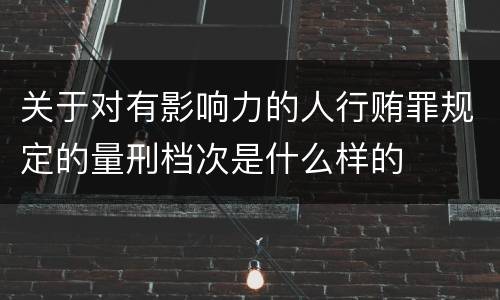 关于对有影响力的人行贿罪规定的量刑档次是什么样的
