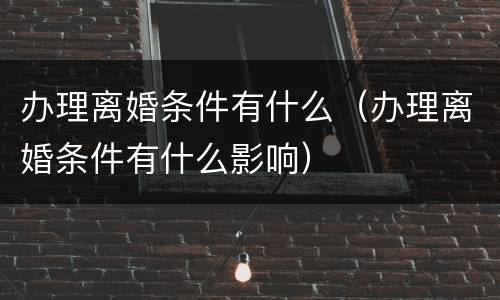 办理离婚条件有什么（办理离婚条件有什么影响）