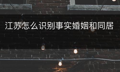 江苏怎么识别事实婚姻和同居