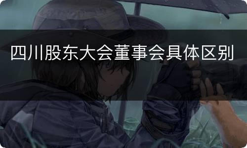四川股东大会董事会具体区别